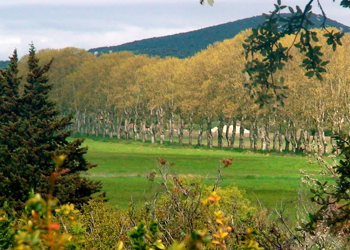 Domaine De Ceyrac 3*